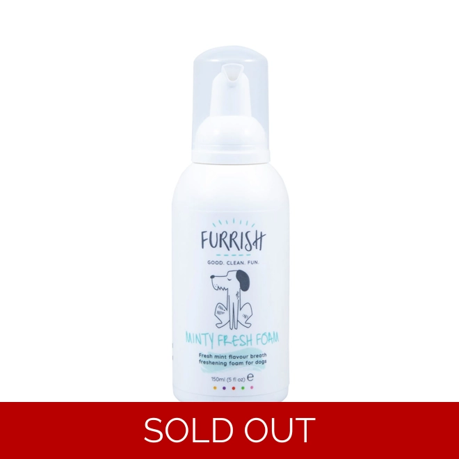 product Image for Furrish Minty Fresh Foam